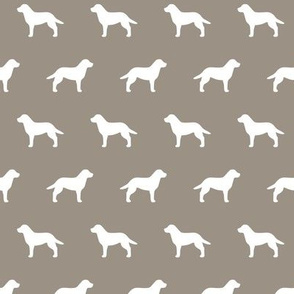 Labrador Retriever Warm Gray 