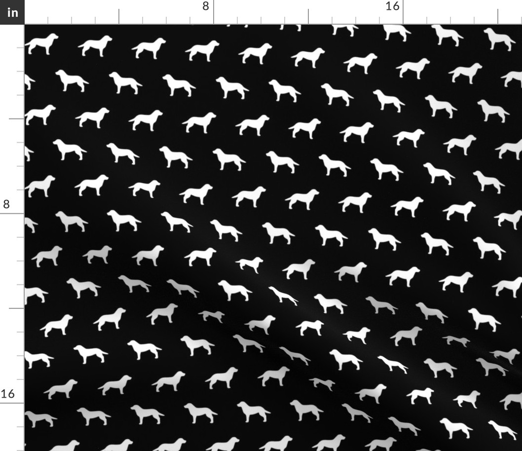 Labrador Retriever White on Black