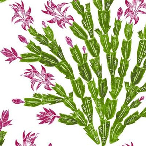  Christmas cactus damask - hiking cranberry, lavender and green