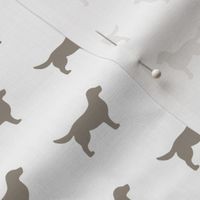 Labrador Retriever Warm Grey