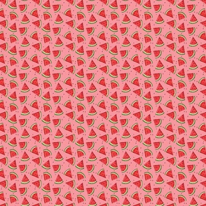 Tossed Watermelons - Pink texture - SMALL