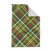 Green Diagonal Tartan // Christmas Plaid Collection