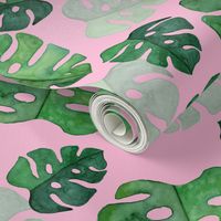 Monstera Watercolour on pink medium