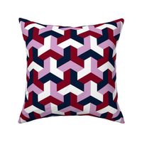 07199125 : chevron 3 x4 : navy orchid burgundy