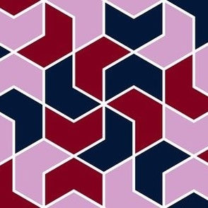 07199283 : chevron6 : spoonflower0431