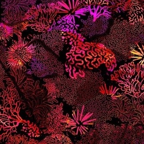 Coral Garden II Red on Black 150L