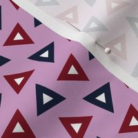 07199329 : triangle 4g : spoonflower0431