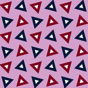 07199329 : triangle 4g : spoonflower0431