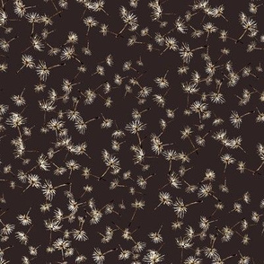dandelion seeds watercolor on dark chocolate brown
