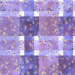 dandelion seeds watercolor on purple plaid