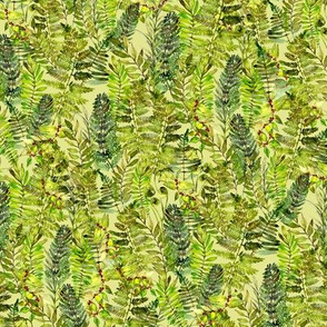 ferns galore watercolor on spring green