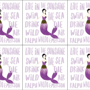 6 loveys: sparkle mermaids purple