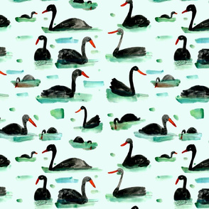 Mint and Black Swans