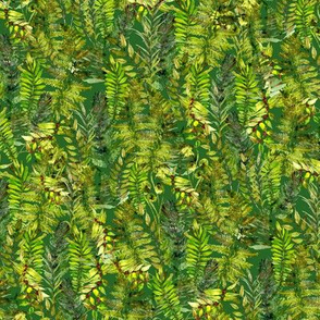 ferns galore watercolor on  tree green