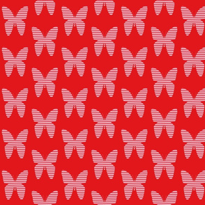 red_stripe_butterfly
