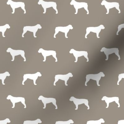 American Bulldog Warm Grey Background