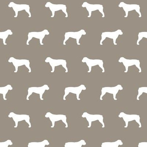 American Bulldog Warm Grey Background