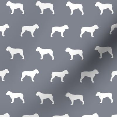 American Bulldog Cool Grey Background