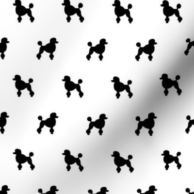 Poodle Black Silhouettes