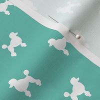 Poodle Silhouette on Turquoise