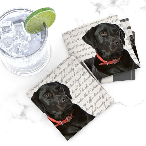 HOME_GOOD_COCKTAIL_NAPKIN