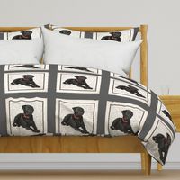 Black Lab Quilt/Pillow Panel