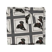 Black Lab Quilt/Pillow Panel