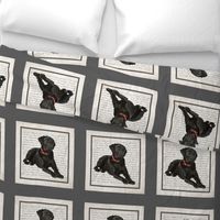 Black Lab Quilt/Pillow Panel