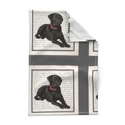 Black Lab Quilt/Pillow Panel