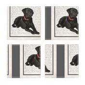 Black Lab Quilt/Pillow Panel