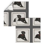 Black Lab Quilt/Pillow Panel