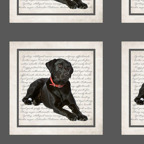 Black Lab Quilt/Pillow Panel