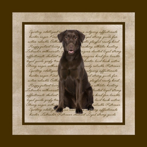 Chocolate Lab Quilt/Pillow Panel