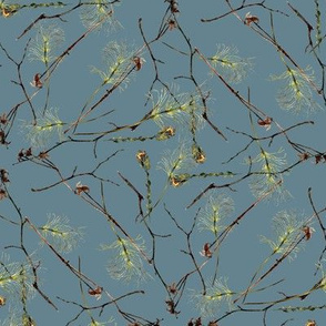 twigs and  dried flowers on grey blue