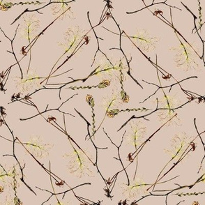 twigs and  dried flowers on beige sand