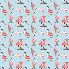 Roseate spoonbills on blue 6x6