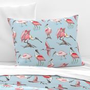 Roseate spoonbills on blue 12x12