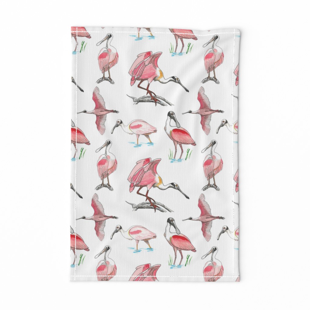 Roseate spoonbills on white 10x10