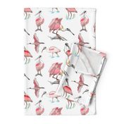 Roseate spoonbills on white 10x10