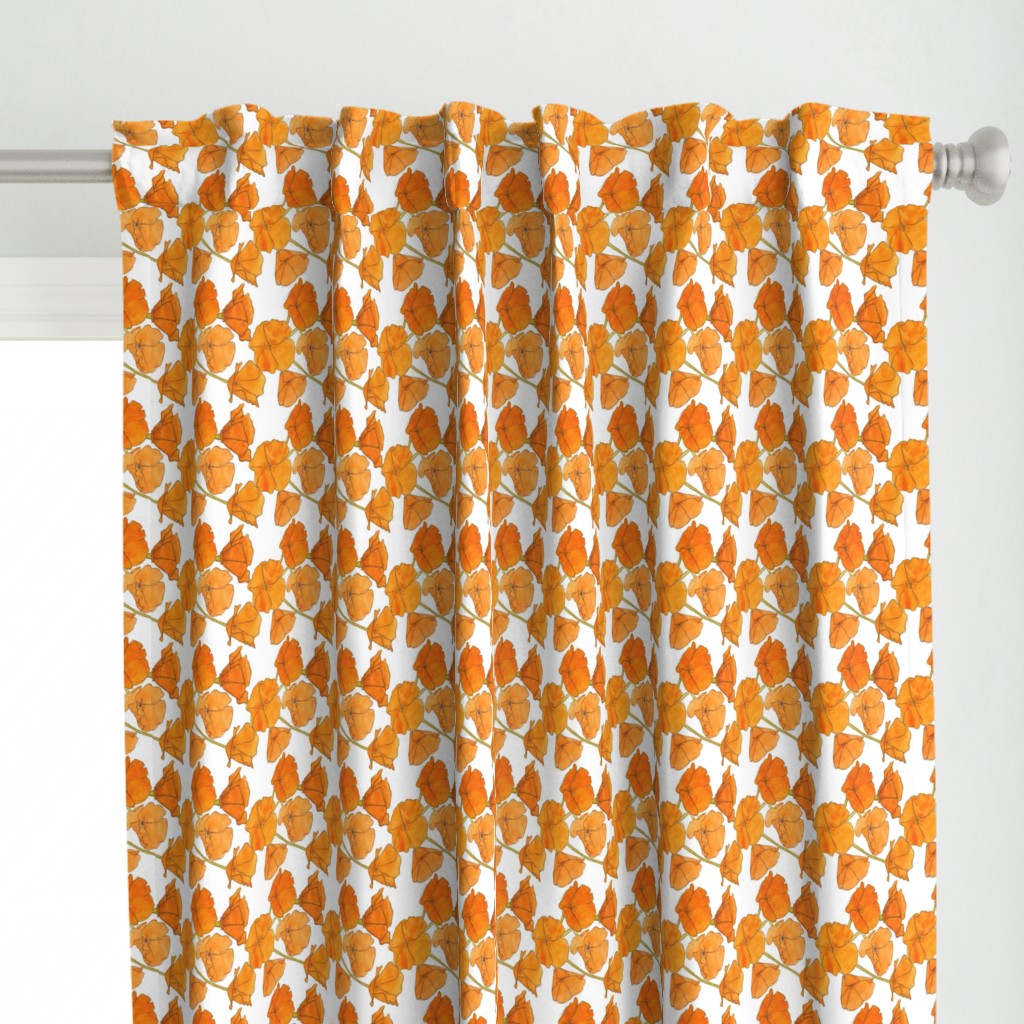 California Poppy Pattern (Small)