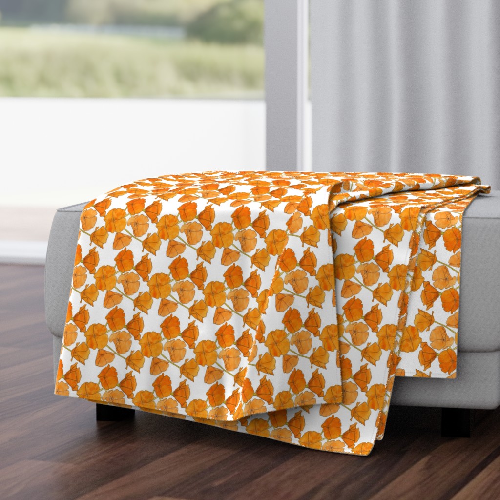 California Poppy Pattern (Small)