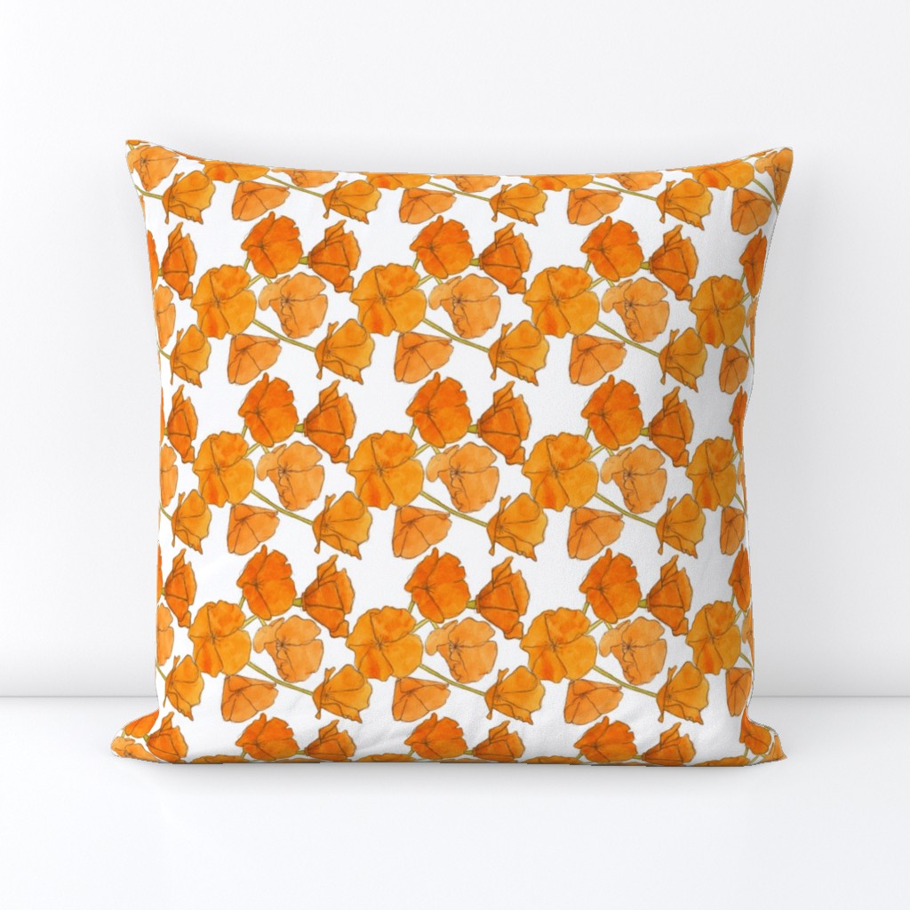 California Poppy Pattern (Small)