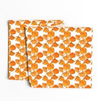 California Poppy Pattern (Small)