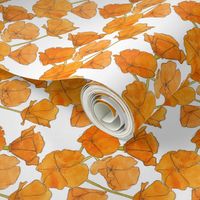 California Poppy Pattern (Small)