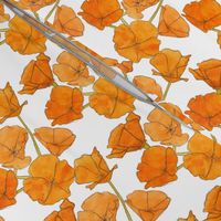 California Poppy Pattern (Small)