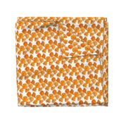 California Poppy Pattern (Small)