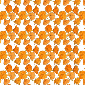 California Poppy Pattern (Small)