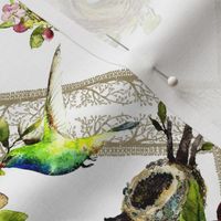 hummingbird watercolor on white 