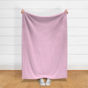1/2” Gingham Check (pink petunia) Joy collection
