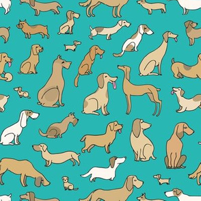 Dogs on turquoise  background